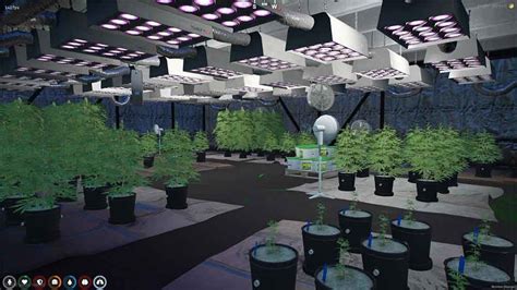 Image result for Fivem Cookies Script