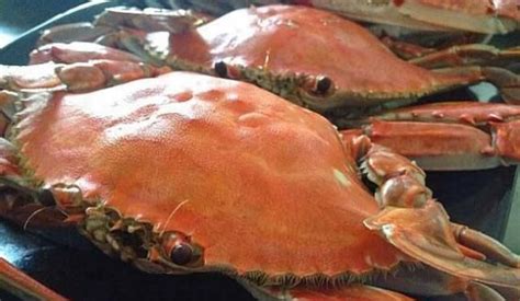 全球最好吃的4种螃蟹，帝王蟹上榜，最后1种别看个头小