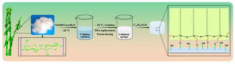 Fabrication of Superhydrophobic/Superoleophilic Bamboo Cellulose Foam ...