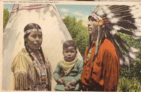 Unraveling the Cherokee Creed: A Journey into Harmony with Nature and Spirit