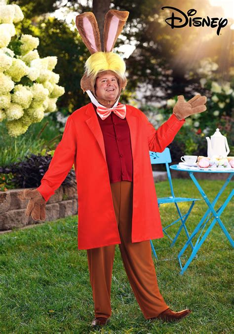 Men's Plus Size Disney Alice in Wonderland March Hare Costume | Disney ...