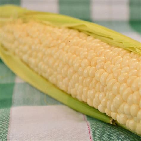 White Shoepeg Corn