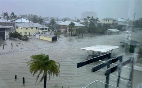 Image result for Florida Python Problem