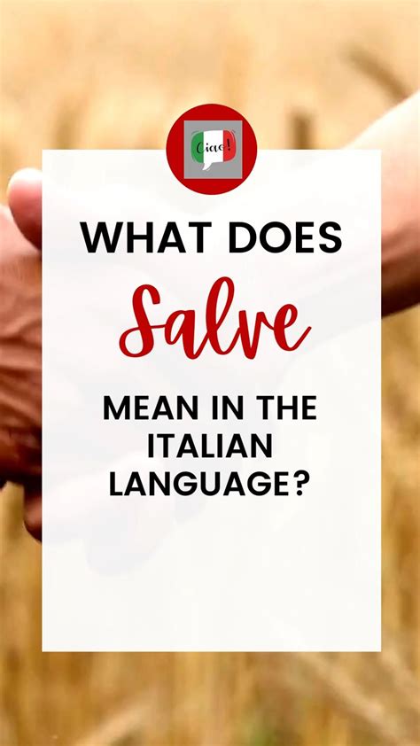 15 Ways to Say “Sorry” in Italian | Italian words, Ways to say sorry ...