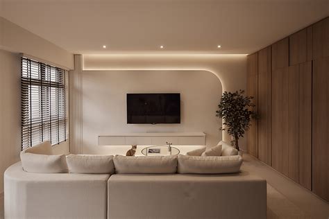 Plaster Ceiling 的图像结果