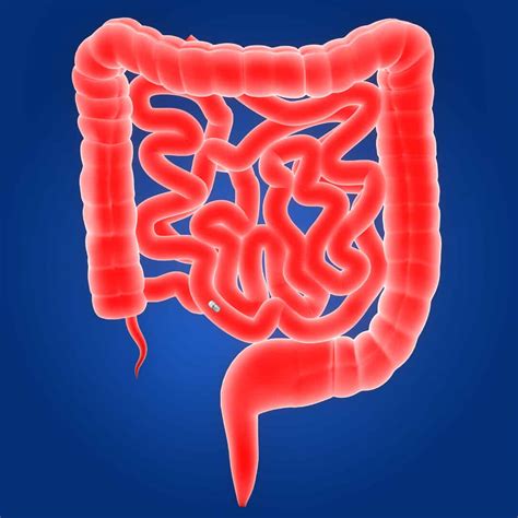 Capsule Endoscopy Procedure Singapore | Alpha Digestive