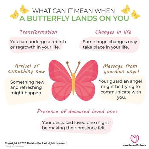 What is butterfly symbolism – Artofit