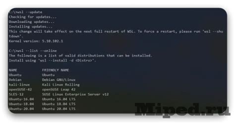 Лучшие эмуляторы Linux для Windows
