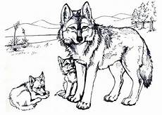 kostenlose malvorlagen wolf wolf ausmalbild ausmalbilder f 252 r kinder malvorlagen kostenlose malvorlagen wolf wolf ausmalbild ausmalbilder f 252 r kinder malvorlagen