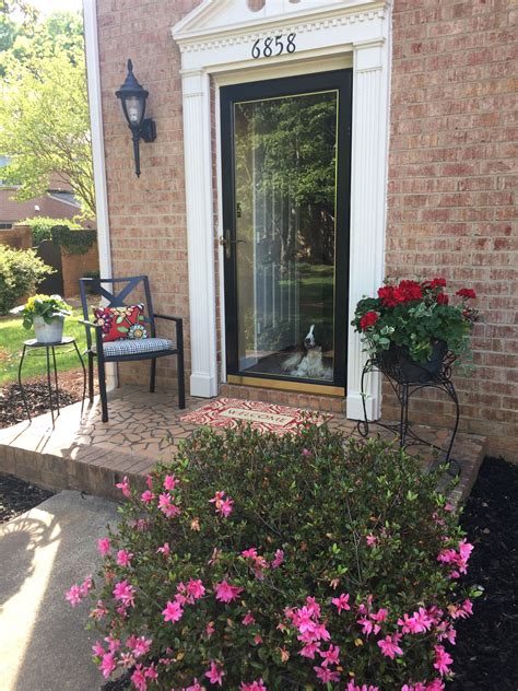 Best Plants To Plant By Front Door at Linda Stone blog
