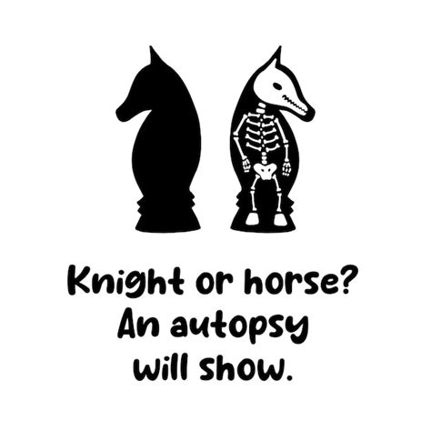 Ritter oder Pferd Eine Autopsie wird das Skelett einer Schachfigur als ...