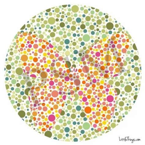Image result for Color Vision Screening