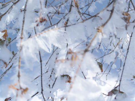 🔥 [250+] SparkNotes The Yellow Wallpapers | WallpaperSafari