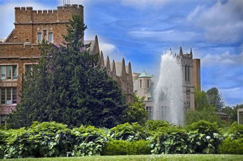 Online MBA Programs: No GMAT or GRE Required