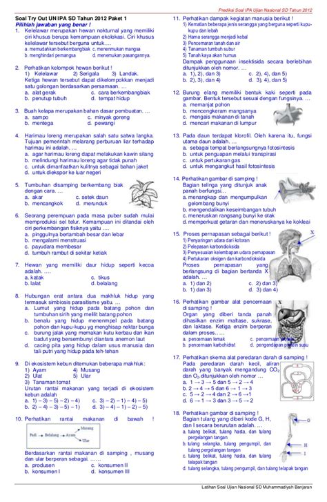 Contoh Soal Try Out IPA Kelas 6: Sukses Ujian dengan Latihan!