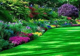 Image result for Flower Garden Landscape