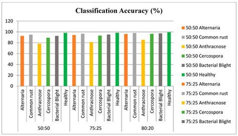 Categorizing Diseases from Leaf Images Using a Hybrid Learning Model