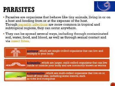 Biological Stress Examples 的图像结果