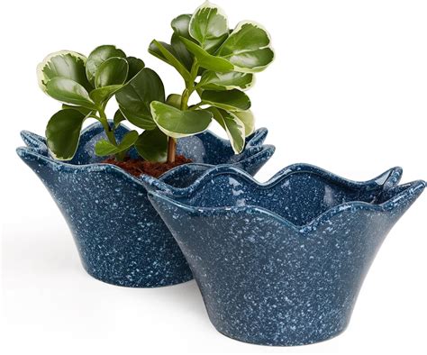 Amazon.com: INGOFIN Succulent Bonsai Pots Set of 2, 6 inch Ceramic ...