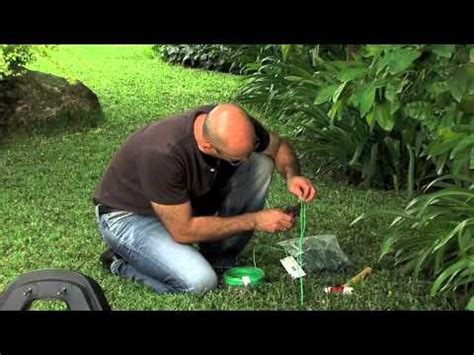 TOSAERBA RADIOCOMANDATO TELECOMANDATO REMOTE CONTROL MO  