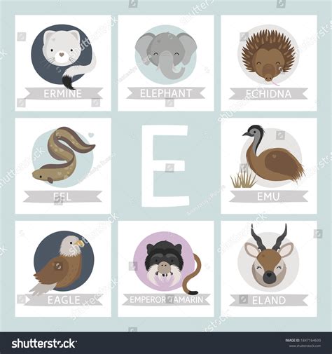 Animals That Start With Letter E