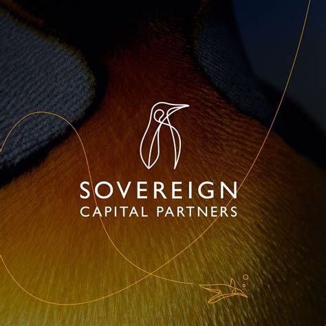 Sovereign Capital is the UKs private equity 'Buy & Build' specialist ...