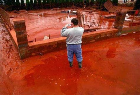 "Sampath Speaking" - the thoughts of an Insurer from Thiruvallikkeni ...