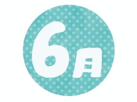 Image result for Layout Code for HTML