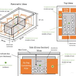 Image result for Coding Example of Selection