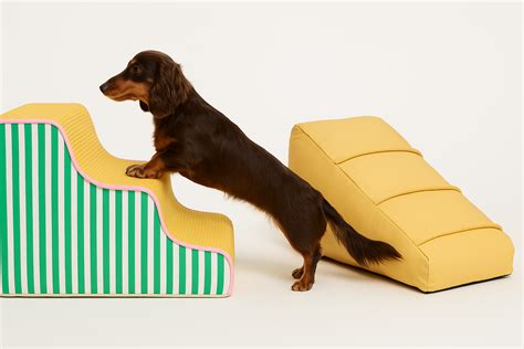How to Build Dog Ramps & Stairs for Dachshunds (IVDD-Friendly Tips ...