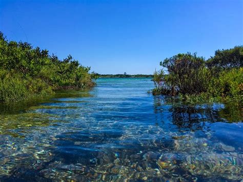 Bermagui Board & Bus - Bermagui | Tripadvisor