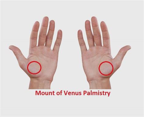 Signs That Warn About Issues In Pregnancy As Per Palmistry! | Herzindagi