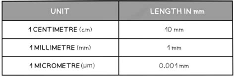 Converting Between Units - Biology for GCSE/IGCSE - Year 11 PDF Download