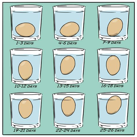 Submerge Eggs in Water to Test Their Freshness | Life Pro Tips