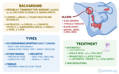 Donovanosis: What Is It, Symptoms, Treatment, and More