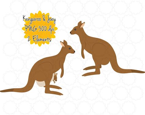 Kangaroo Clipart | Kangaroo Joey Clip Art | Kangaroo Baby Pouch Graphic ...