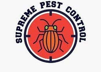 3 Best Pest Control Services in Ranchi, JH - Expert Recommendations