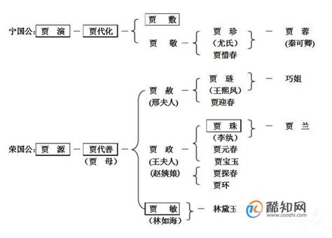 红楼梦人物关系图谱_word文档在线阅读与下载_免费文档