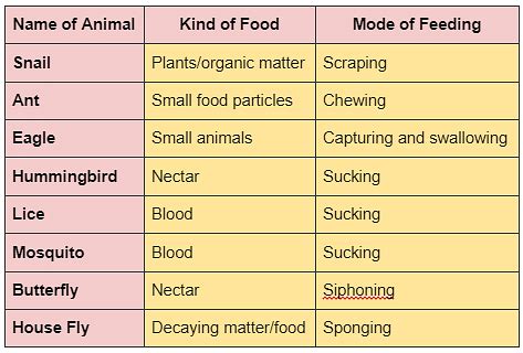 Nutrition in Animals Class 7 Notes Science Chapter 2 Free PDF