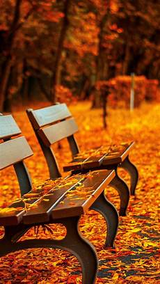 Iphone Xs Wallpaper Autumn by 15 Fall Iphone Xs Wallpapers Best Autumn Backgrounds Iphone Xs Wallpaper Autumn
