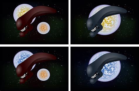 Alien Xenomorph Scream 的图像结果