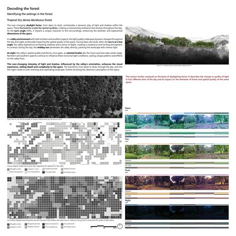 Mosaic of the Forest (The Play of Light in the Nature) | CEPT - Portfolio