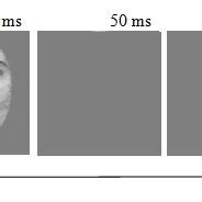 Task Example 的图像结果