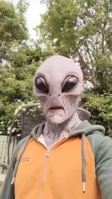 Alien Mask Meme 的图像结果