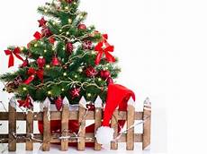 weihnachten allein forum weihnachtsbr 228 uche in anderen l 228 ndern mamiweb de weihnachten allein forum weihnachtsbr 228 uche in anderen l 228 ndern mamiweb de