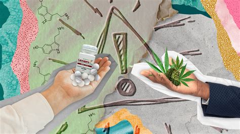 Cannabis and Lexapro for Mental Health: Safe or Risky? – Marijuana Doctors