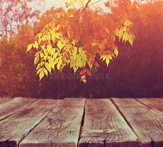 Rustic Country Fall Backgrounds by Image Of Front Rustic Wood Boards And Background Of Fall Rustic Country Fall Backgrounds
