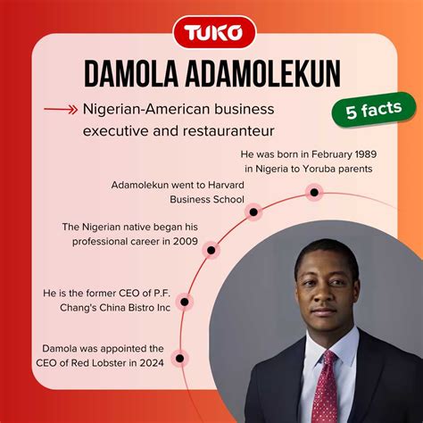 Damola Adamolekun's net worth after becoming the Red Lobster CEO - Tuko.co.ke
