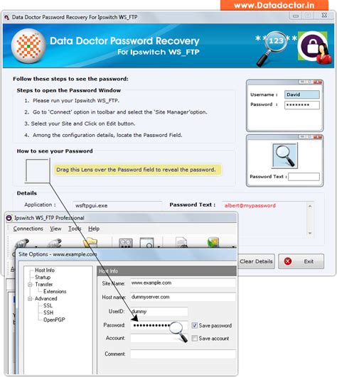 Ipswitch WS_FTP Password Recovery - instantly find, decrypt and decode ...