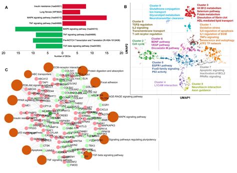 A Descriptive Whole-Genome Transcriptomics Study in a Stem Cell-Based ...